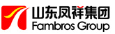 山东凤祥集团